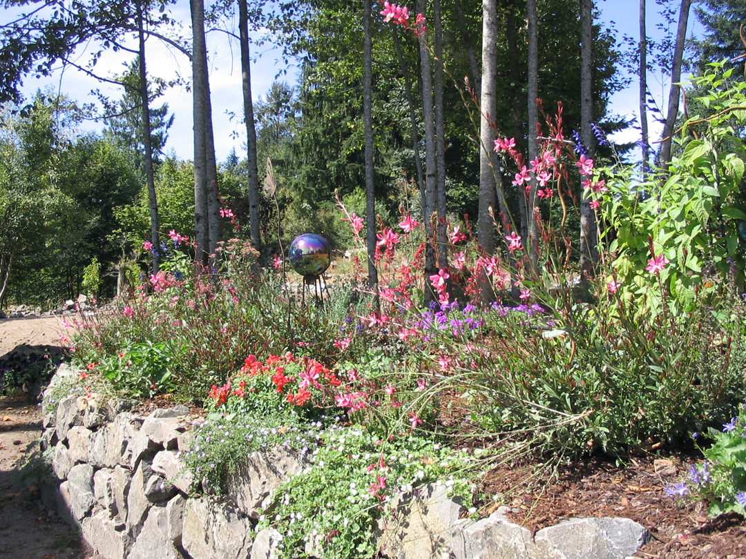rock garden.jpg 1228.1K